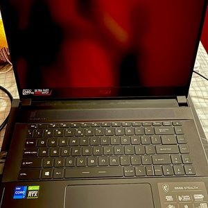 Msi gs66 stealth